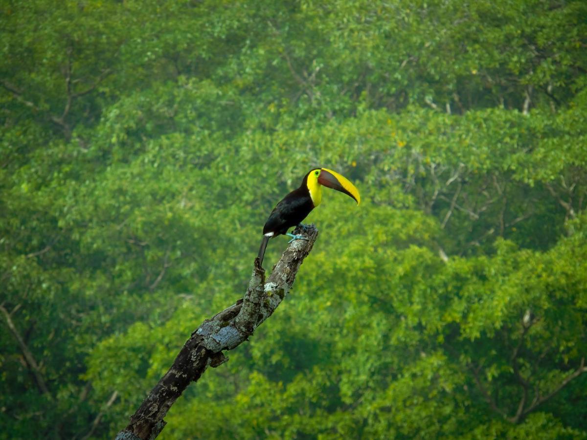 La Uvita Perdida Bagian luar foto