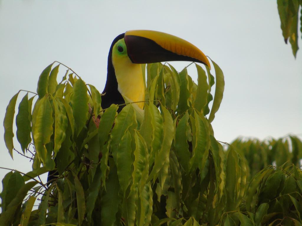 La Uvita Perdida Bagian luar foto
